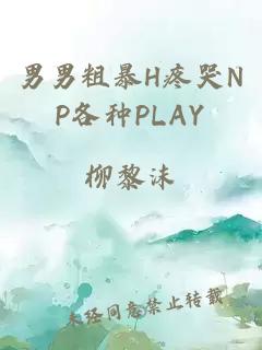 男男粗暴H疼哭NP各种PLAY