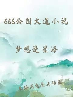 666公园大道小说