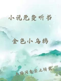 小说免费听书