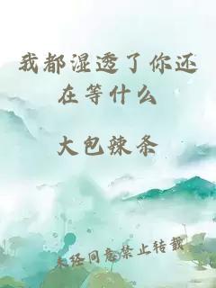 我都湿透了你还在等什么