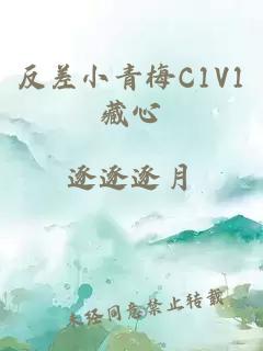 反差小青梅C1V1藏心