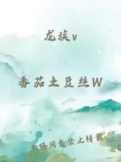 龙族v