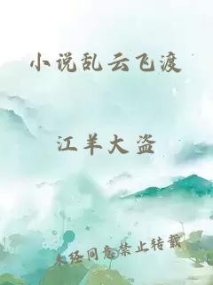 小说乱云飞渡