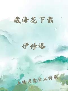 藏海花下载