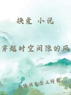 换爱 小说