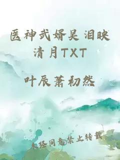 医神武婿吴泪映清月TXT