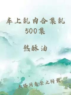 车上乱肉合集乱500集