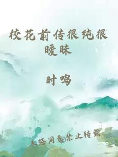 校花前传很纯很暧昧