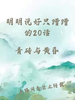 明明说好只蹭蹭的20话