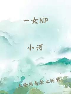 一女NP