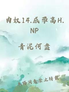 肉奴14.成孕高H.NP