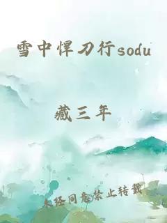 雪中悍刀行sodu