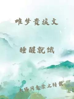 唯梦贵族文