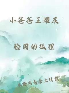 小爸爸王耀庆