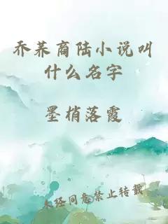 乔荞商陆小说叫什么名字