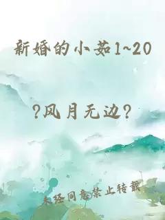 新婚的小茹1~20