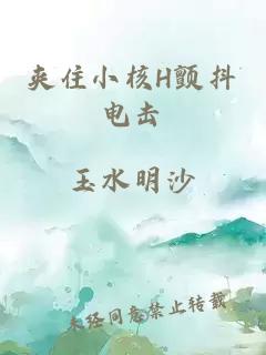 夹住小核H颤抖电击