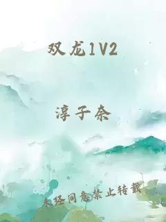 双龙1V2