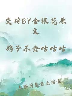 交椅BY金银花原文