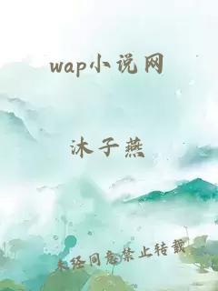 wap小说网