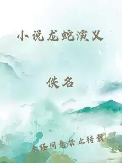 小说龙蛇演义