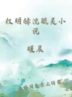 权明赫沈毓灵小说