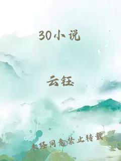 30小说