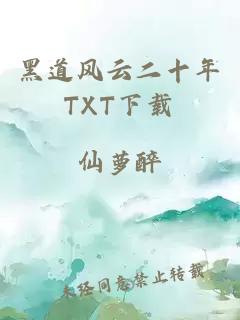 黑道风云二十年TXT下载