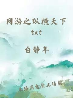 网游之纵横天下txt