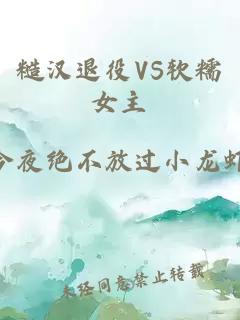 糙汉退役VS软糯女主