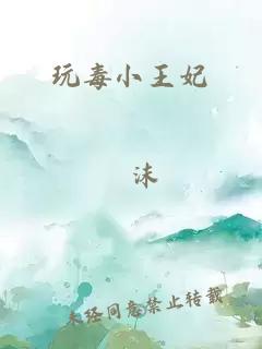 玩毒小王妃