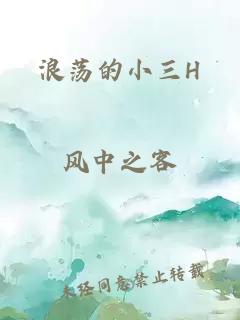 浪荡的小三H