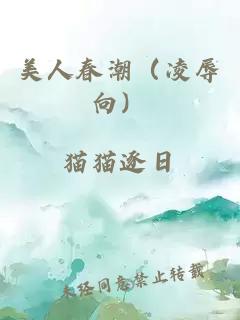 美人春潮（凌辱向）