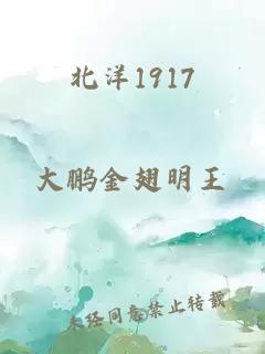 北洋1917